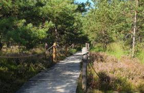 Słowińskie Widoki domki Flora, Fauna, noclegi Smołdziński Las - Foto 46