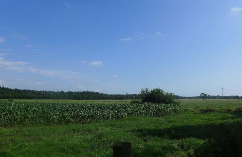 Apartment Landblick-2 by Interhome - Foto 16