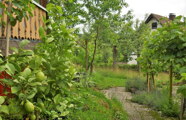 Flat With Balcony in Baden-wurttemberg - Foto 37