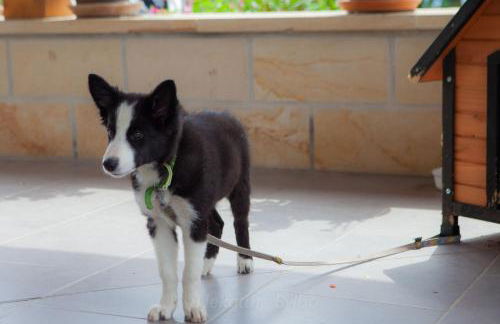 Endaneta Berri - Photo 47