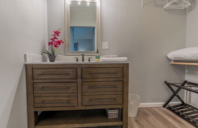 The Blue Flamingo - Foto 42