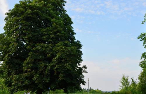 Charmante Wohnung mit Eigener Terrasse - Foto 56