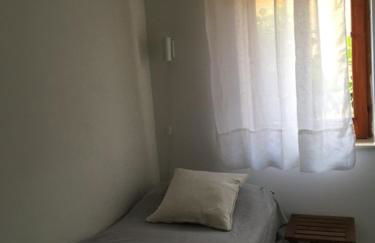 Piccola Bouganville - Foto 9