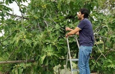 Casa vacanza in Casale vicino Orvieto - Foto 29