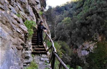 Kastorio-Villy's Guest House - Foto 59