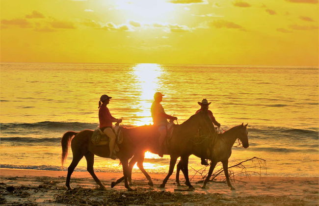 Balade à cheval dans la Riviera Nayarit - Photo 9