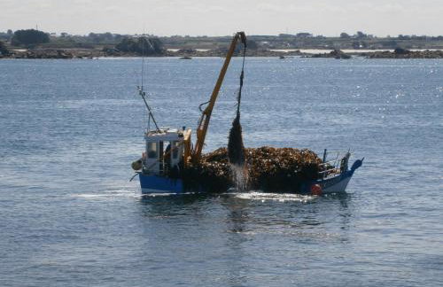 Santec Roscoff maison 500m mer Finistère Bretagne - Photo 35
