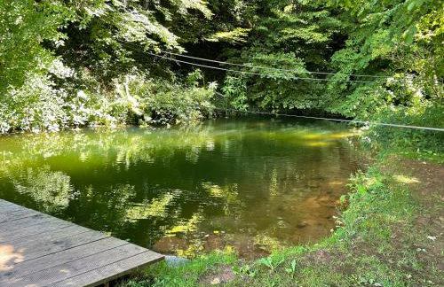 Ferienwohnungen Schwabenhof - Foto 20