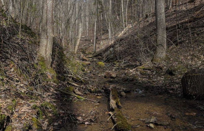 Creekside Mountain by Avantstay Private Sauna - Foto 27