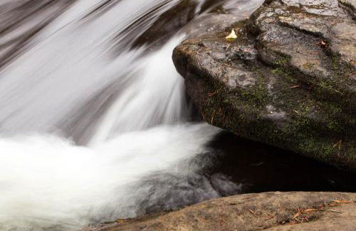 Saddle Ridge Townhome I-5 - Foto 29