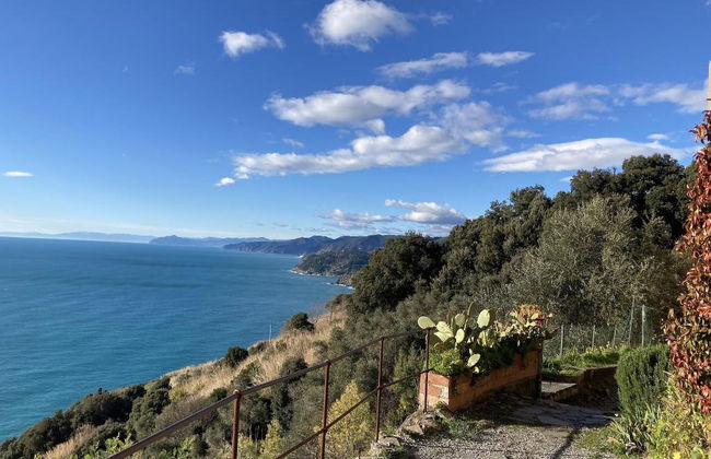 Il Veliero - Foto 35