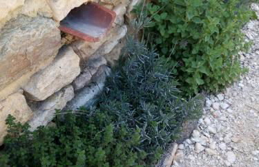 Clos Lamonzie - Foto 15