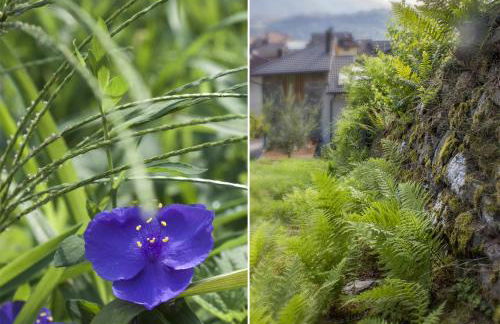 agriturismo farmhouse la barberina - Foto 18