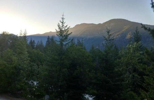 Hot Tub Cool Views: Roaring Creek Cabin - Foto 14