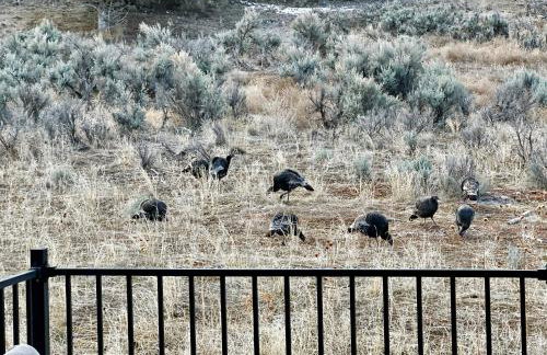 Beehive Basecamp Explore Ski Play and Make Memories - Foto 47