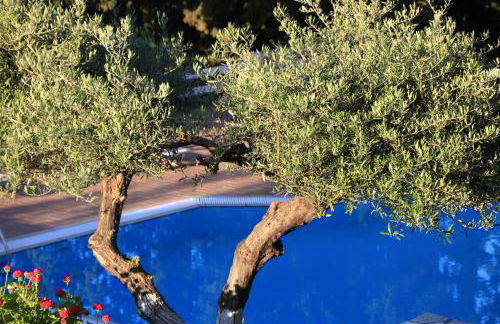 Myrto Homes Lefkada Agios Nikitas Greece - Photo 53