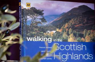 Ness in the City - Foto 11