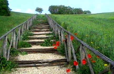 Azienda Agrituristica Colle San Giorgio - Foto 62