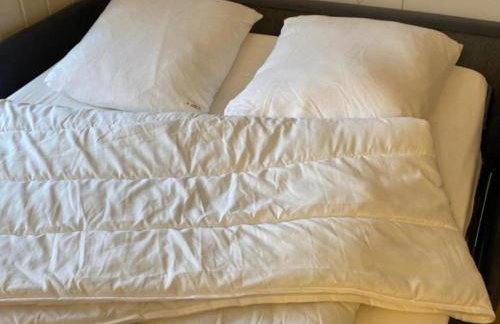 BÈTH CÈU Appt vacances 4P- La Pierre St Martin GR10 - Foto 13