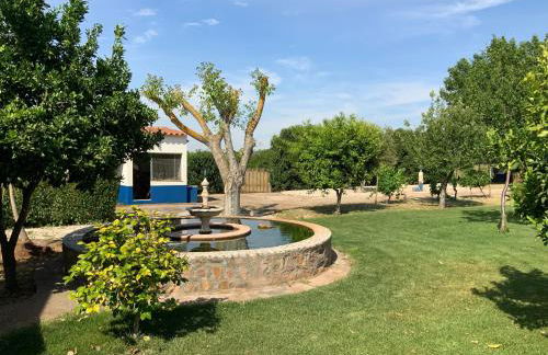 Quinta da Paz - Foto 21