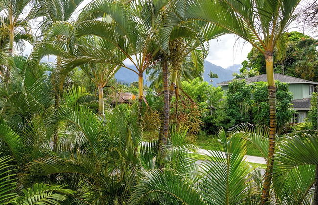 Paniolo 204a - Foto 23