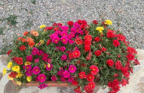 Casa Vacanze Al Fontanile - Foto 14