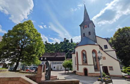 Schwarzwaldraum Schlossblick - Foto 29