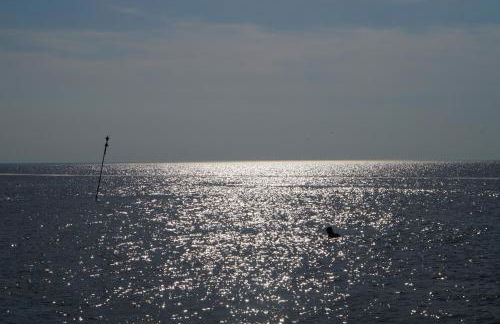 Villa Ludwig Fewo - Foto 33