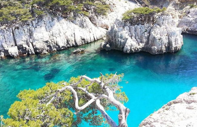 Les Maisons du Parc - Foto 62