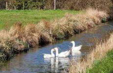 The Old Sty - Foto 18