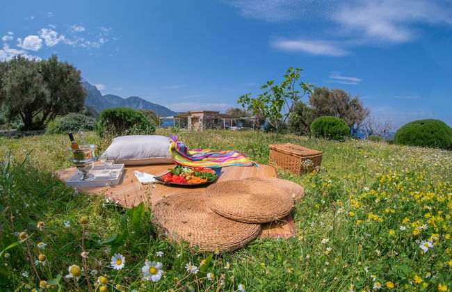 Marnei Mare - Photo 52