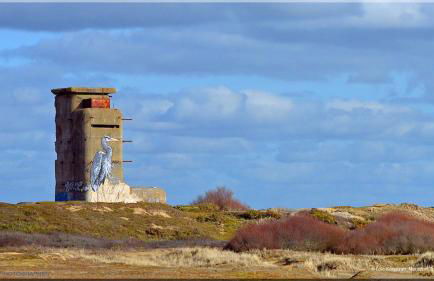 Maison familiale-Surf House, plage de Sainte Barbe - Foto 5