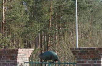 Apartment in ruhiger Lage am Waldrand by Interhome - Photo 11