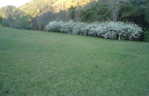 Sítio Recanto do Araçá - Foto 55