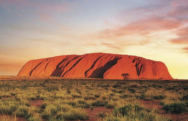Uluru Sonnenuntergang mit Grillabendessen - Halbtagestour in kleiner Gruppe - Foto 5