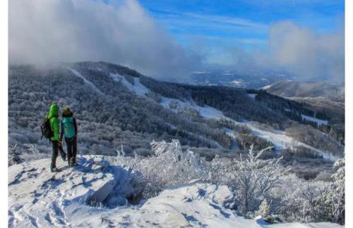 Rippling Waters close to Timberline ski slopes - Photo 48
