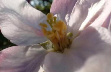 Ferienwohnung in der Uckermark - Photo 11