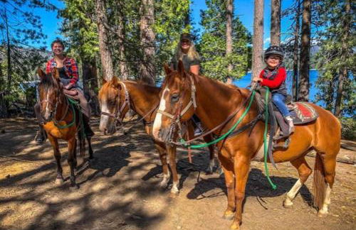 Creekside Cabin - Pup-Friendly with AC - Foto 54
