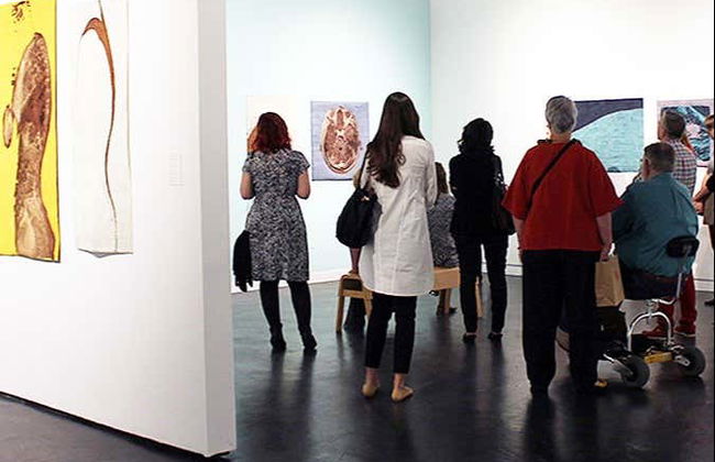 Houston Museum Pass - Foto 4