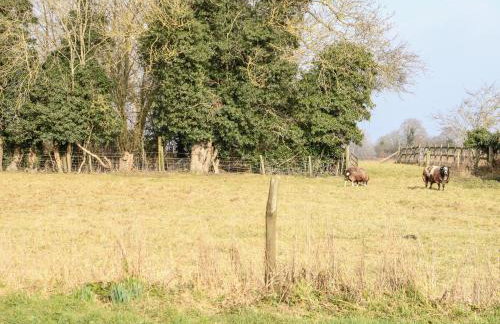 Wensum Spring - Foto 32