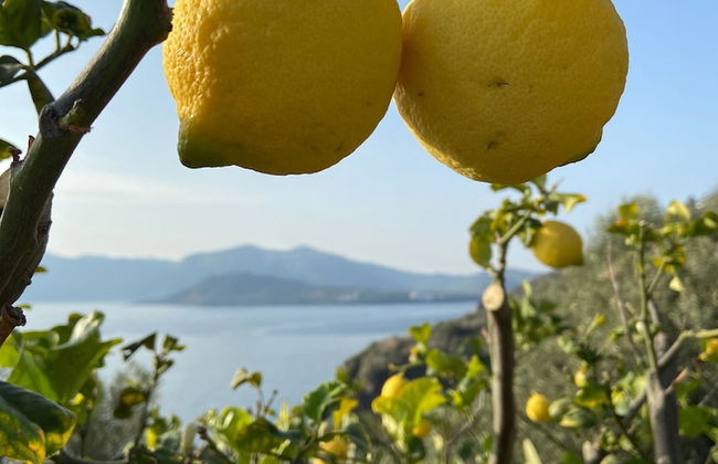 House "sole" - Unique Panorama - Foto 24