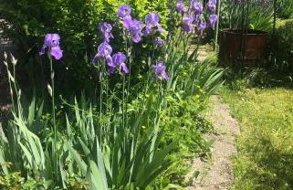 La Causeuse - Foto 11