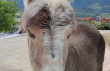 OZAMIZ Urdaibai - Foto 49