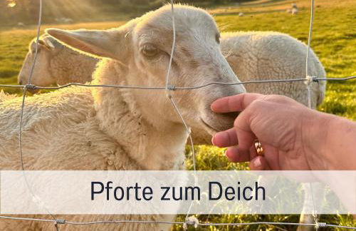 Elbe Boardinghouse - Foto 68