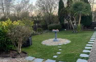 The Dog House - Foto 19