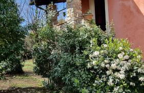 Rose Cottage Tuscany - Foto 59