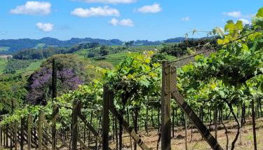 Casa da Vó Hospedagem Afetiva - Foto 5