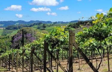 Casa da Vó Hospedagem Afetiva - Foto 6