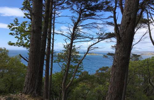 The Smiddy - Foto 23