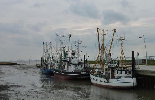 Ferienwohnung Meer&mehr - Foto 21